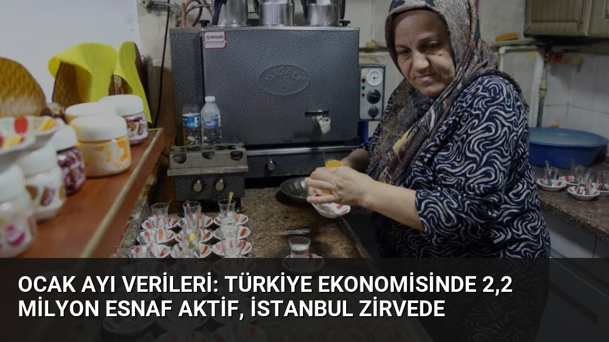 Ocak Ayı Verileri: Türkiye Ekonomisinde 2,2 Milyon Esnaf Aktif, İstanbul Zirvede