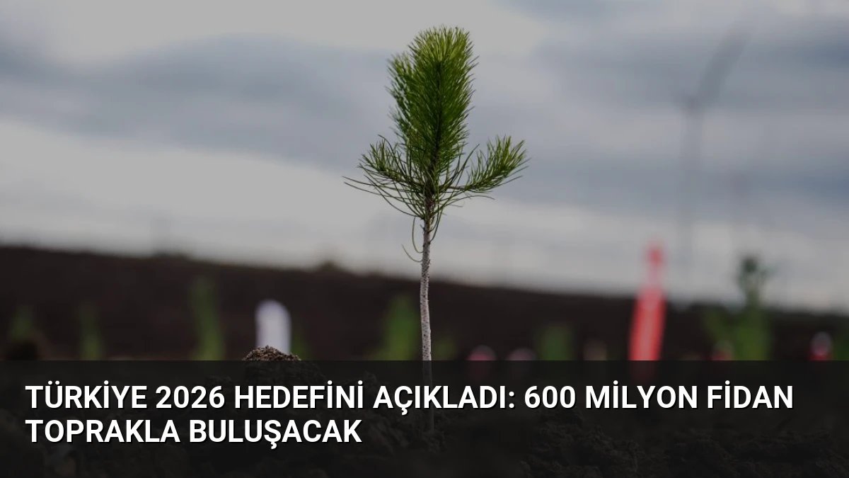 Türkiye 2026 Hedefini Açıkladı: 600 Milyon Fidan Toprakla Buluşacak