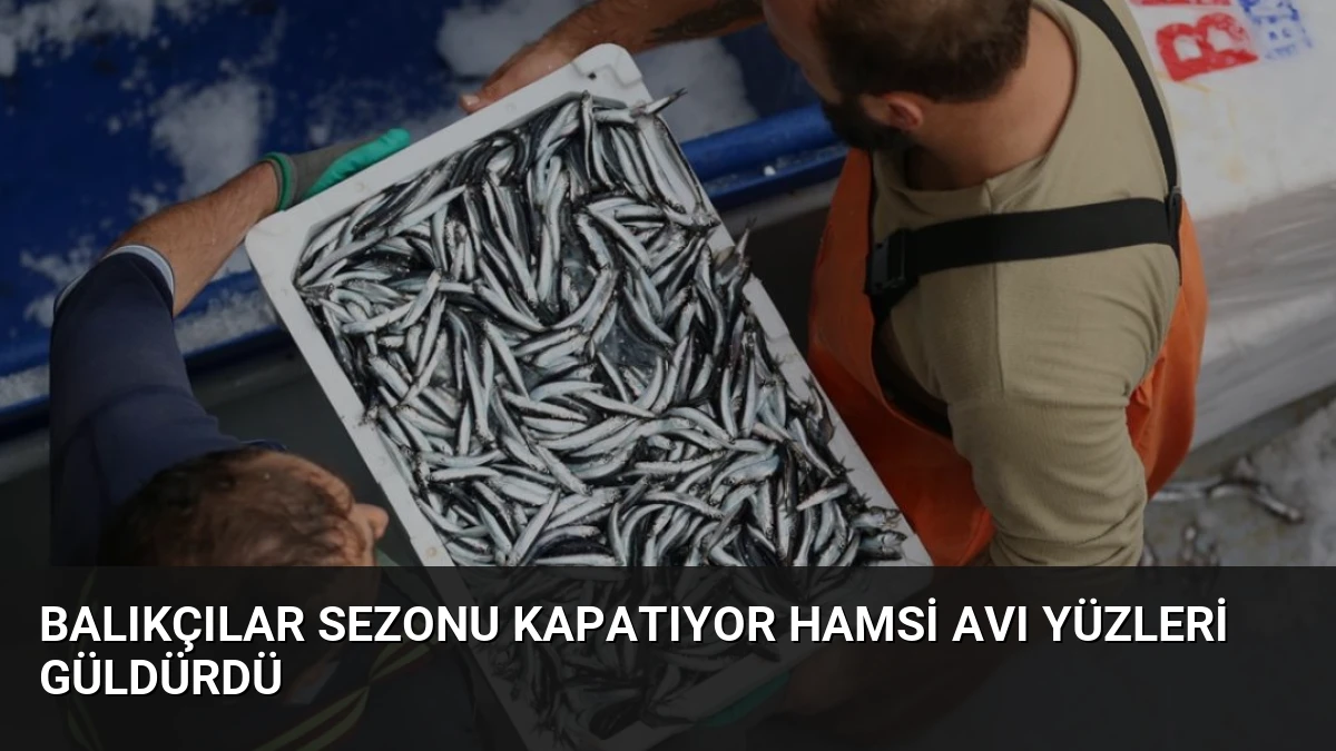 Balıkçılar Sezonu Kapatıyor Hamsi Avı Yüzleri Güldürdü