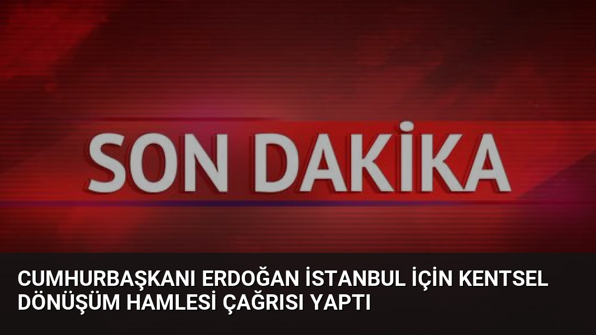 Cumhurbaşkanı Erdoğan İstanbul İçin Kentsel Dönüşüm Hamlesi Çağrısı Yaptı