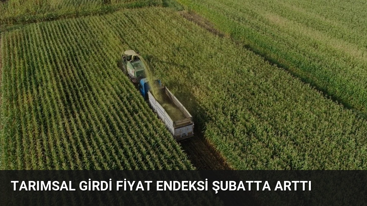 Tarımsal Girdi Fiyat Endeksi Şubatta Arttı
