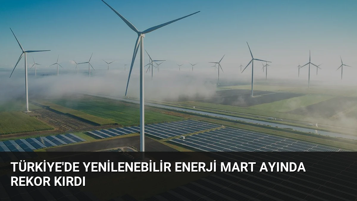 Türkiye’de Yenilenebilir Enerji Mart Ayında Rekor Kırdı
