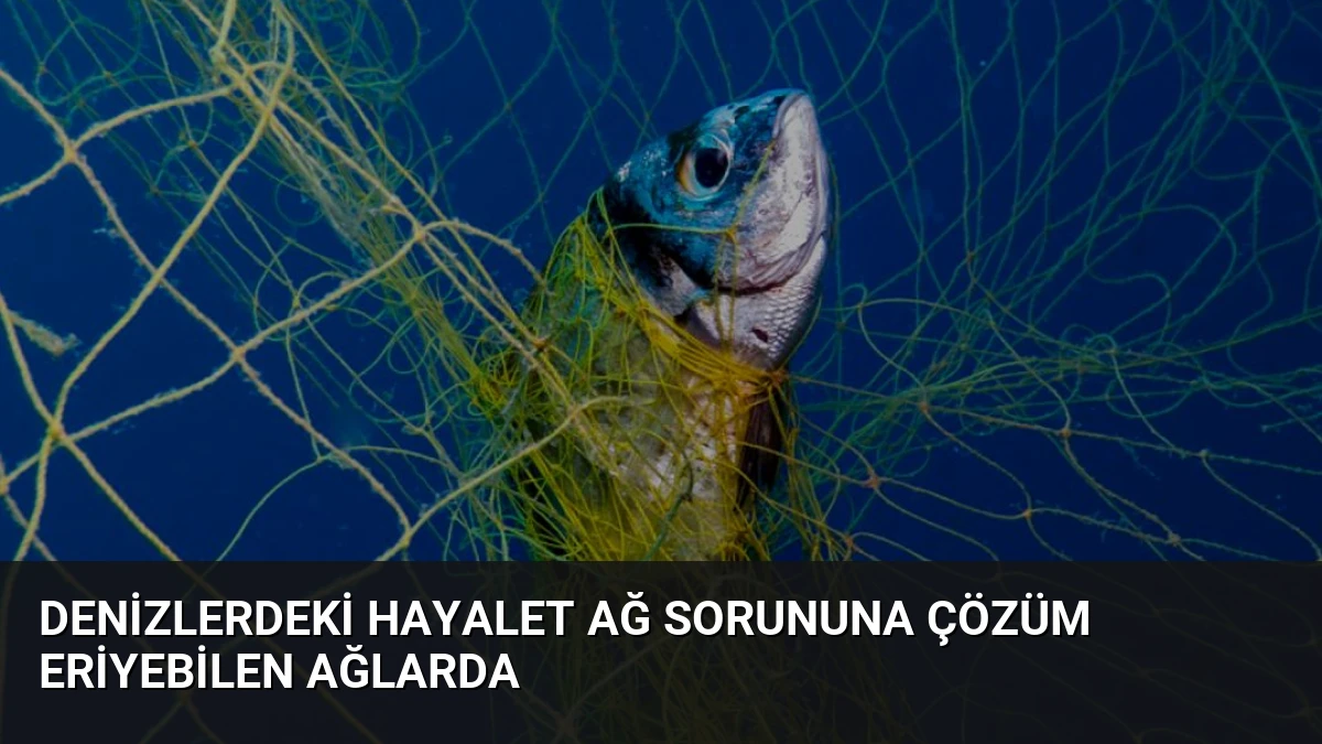 Denizlerdeki Hayalet Ağ Sorununa Çözüm Eriyebilen Ağlarda