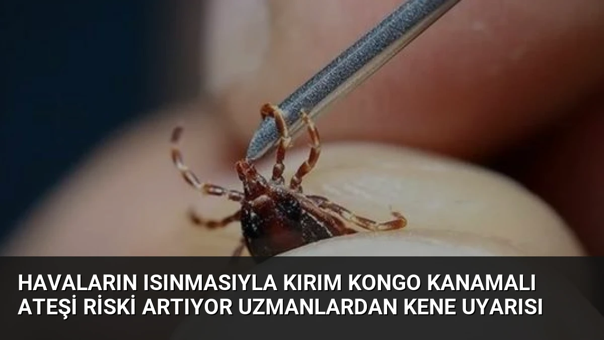 Havaların Isınmasıyla Kırım Kongo Kanamalı Ateşi Riski Artıyor Uzmanlardan Kene Uyarısı