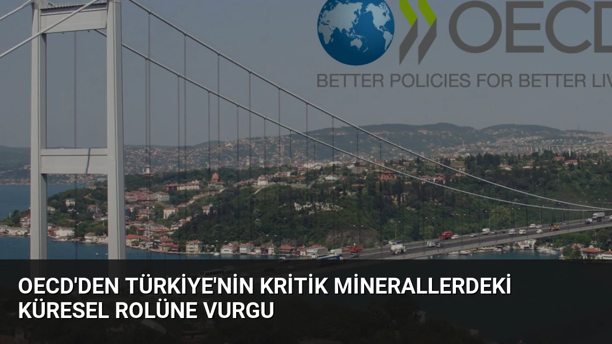OECD’den Türkiye’nin Kritik Minerallerdeki Küresel Rolüne Vurgu
