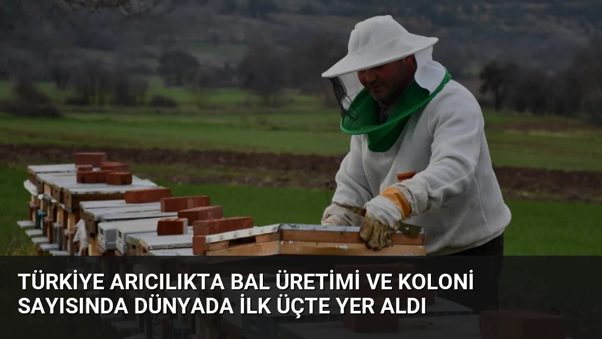 Türkiye Arıcılıkta Bal Üretimi ve Koloni Sayısında Dünyada İlk Üçte Yer Aldı