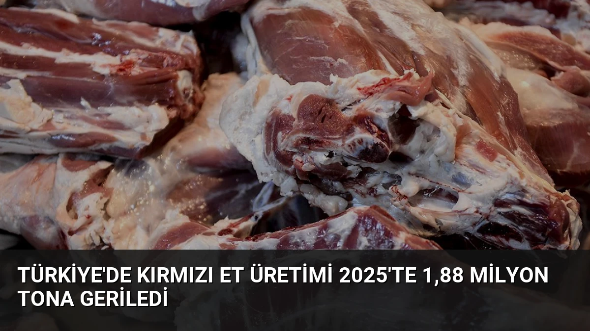 Türkiye’de Kırmızı Et Üretimi 2025’te 1,88 Milyon Tona Geriledi