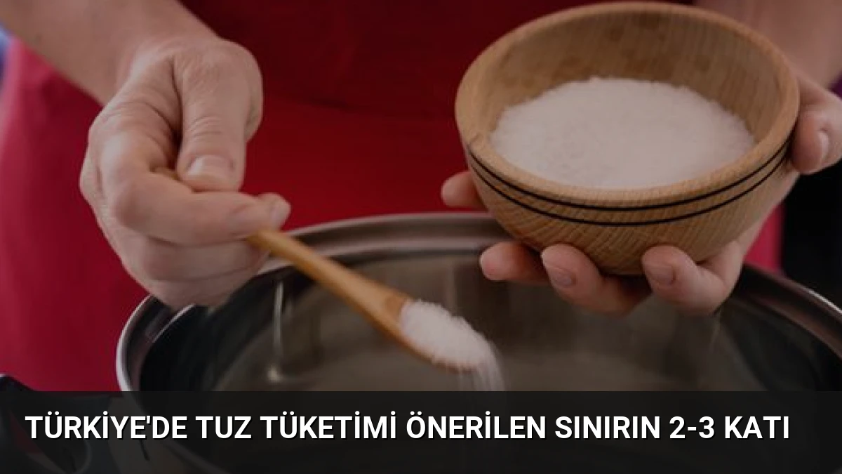 Türkiye’de Tuz Tüketimi Önerilen Sınırın 2-3 Katı