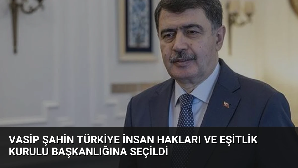 Vasip Şahin Türkiye İnsan Hakları ve Eşitlik Kurulu Başkanlığına Seçildi