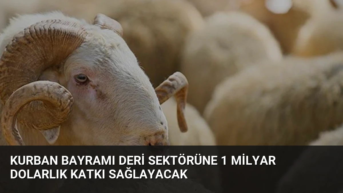 Kurban Bayramı Deri Sektörüne 1 Milyar Dolarlık Katkı Sağlayacak