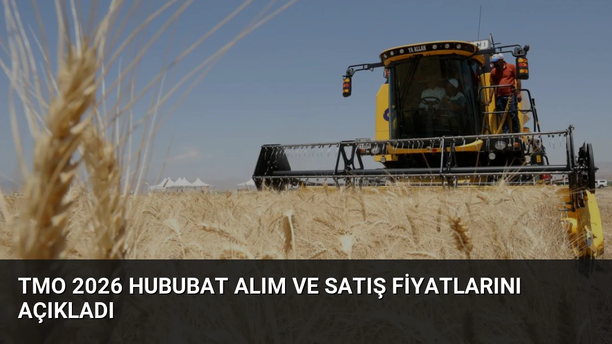 TMO 2026 Hububat Alım ve Satış Fiyatlarını Açıkladı