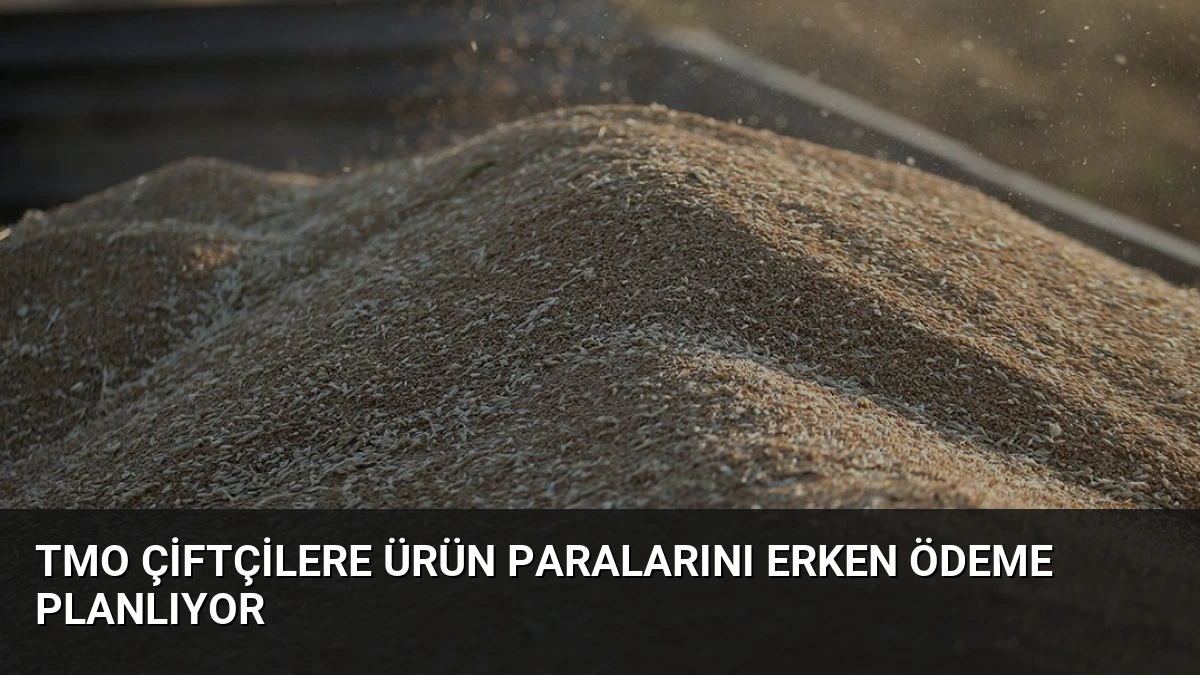 TMO Çiftçilere Ürün Paralarını Erken Ödeme Planlıyor