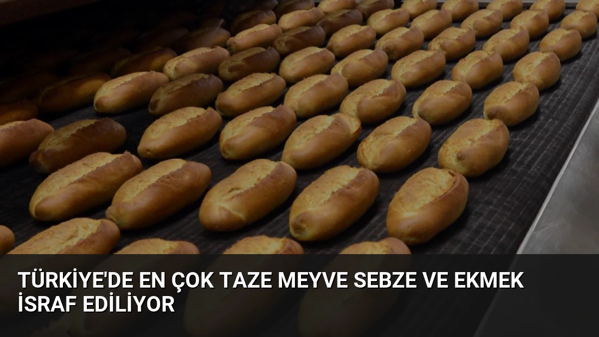 Türkiye’de En Çok Taze Meyve Sebze ve Ekmek İsraf Ediliyor