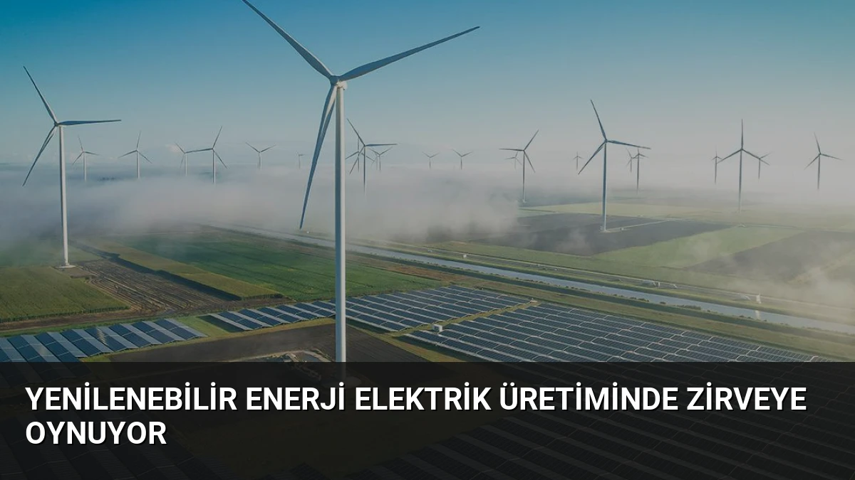 Yenilenebilir Enerji Elektrik Üretiminde Zirveye Oynuyor