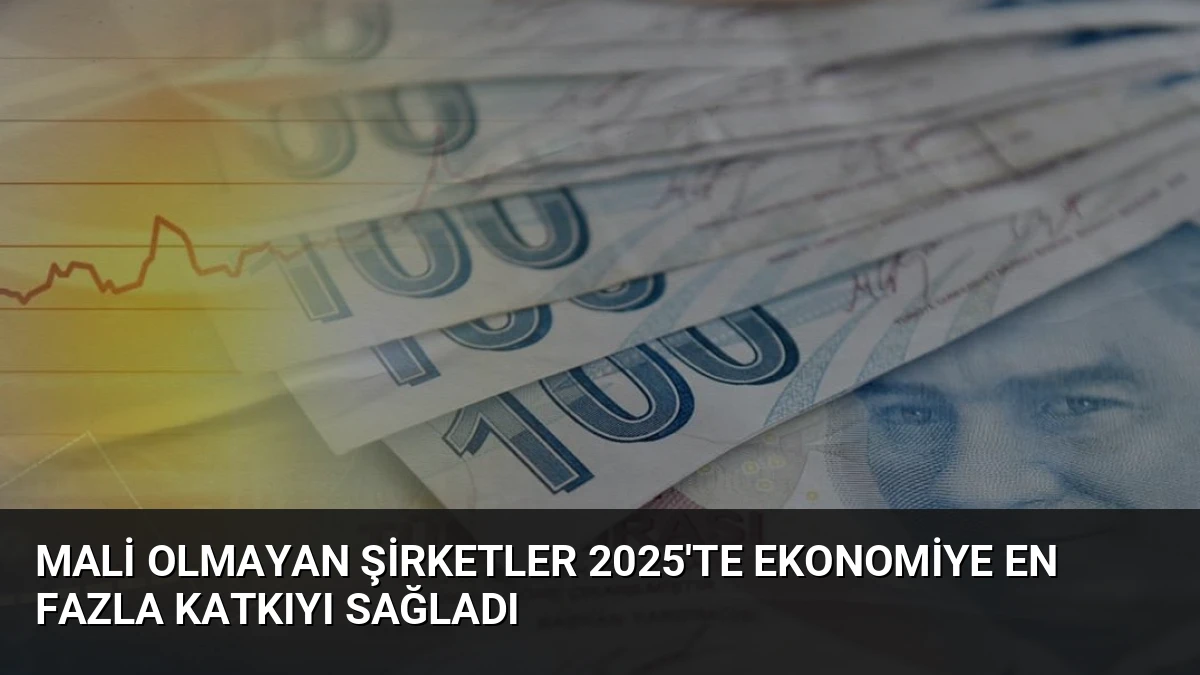 Mali Olmayan Şirketler 2025’te Ekonomiye En Fazla Katkıyı Sağladı