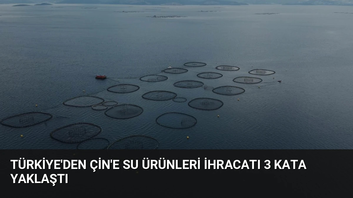 Türkiye’den Çin’e Su Ürünleri İhracatı 3 Kata Yaklaştı